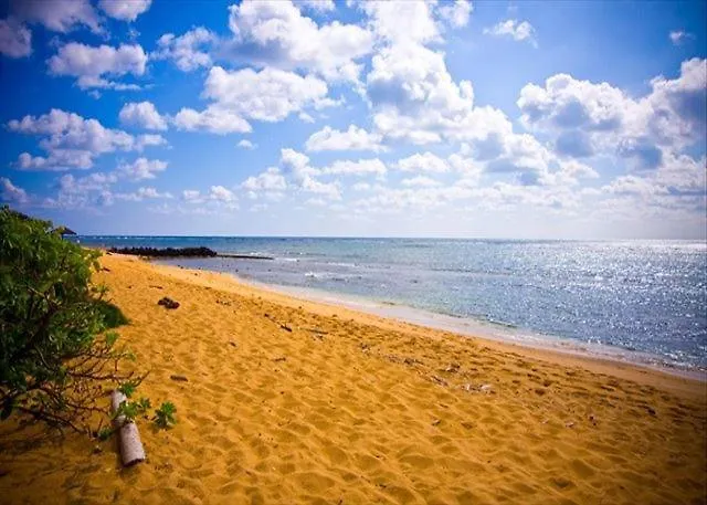 Hale Tiare Condo Kapa'a Apartment